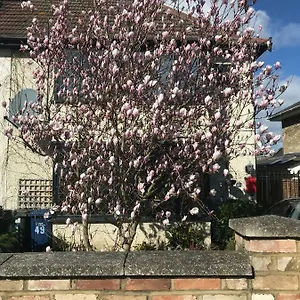 Harry's Cambridge (Cambridgeshire)
